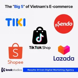 Overview of Vietnam's baby diaper market