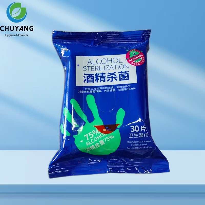 High Quality Factory Customization Sanitizing Wet Wipes small Alcohol Wipes Custom Sanitizers Wipes